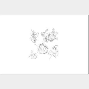 Black and white autumn nature pattern of monarch butterflies, herbs, and berries Posters and Art